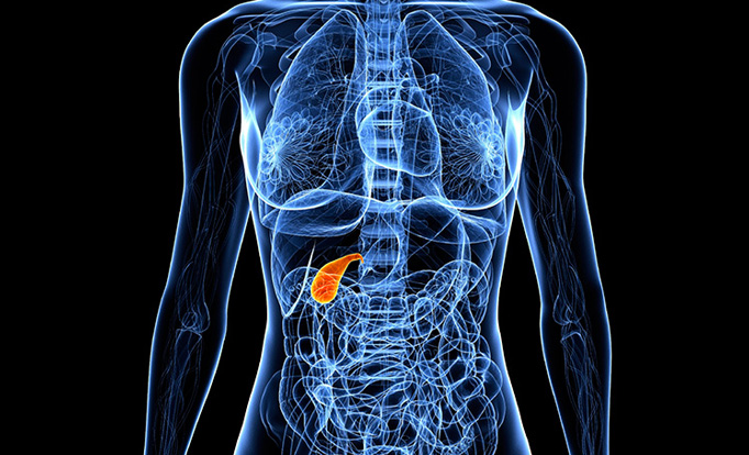 Best Gallbladder Cancer Treatment Specialist Pune, Pimpri Chinchwad PCMC